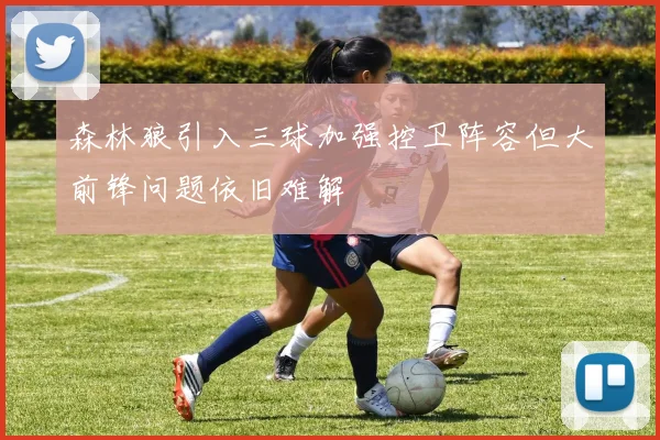 森林狼引入三球加强控卫阵容但大前锋问题依旧难解