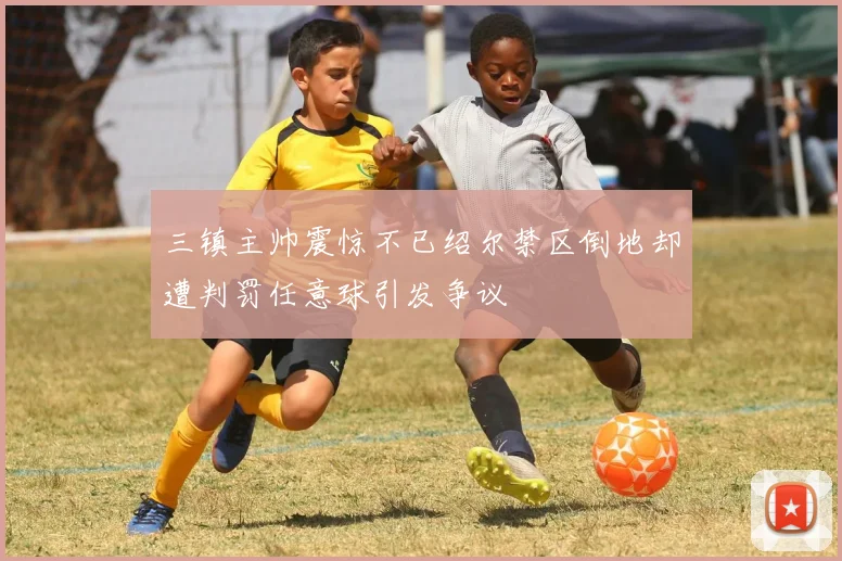 三镇主帅震惊不已绍尔禁区倒地却遭判罚任意球引发争议